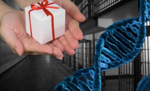 dna testing is the perfect gift for the innocent, this photo shows a DNA strand as well as a pair of hands holding a small gift with a prison in the background.