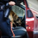 Personal Property That Can Be Searched Once a Warrant is Issued